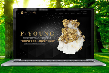 ��ׯ�������ﱦʯ